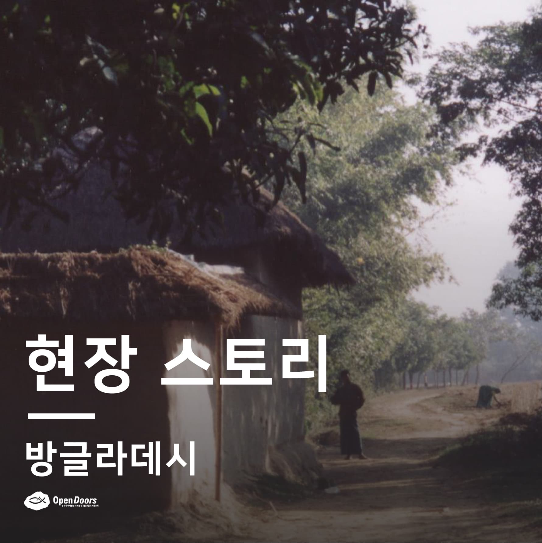 두둘은 끔찍한 박해 이후에 트라우마를 극복하기 위해 애쓰고 있습니다 #방글라데시
