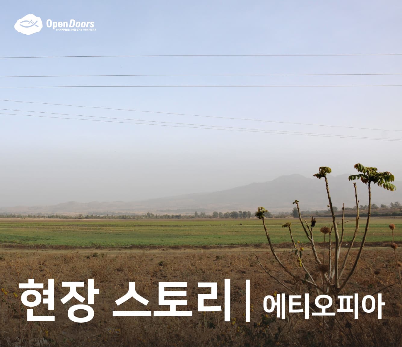 저를 박해하는 자들로 인해 하나님께 나아갈 수 있었습니다 #에티오피아
