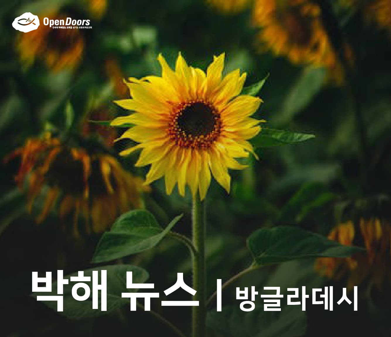 방글라데시 기독교 박해소식_ 교회, 무슬림 정당으로부터 생명을 위협하는 편지를 받다