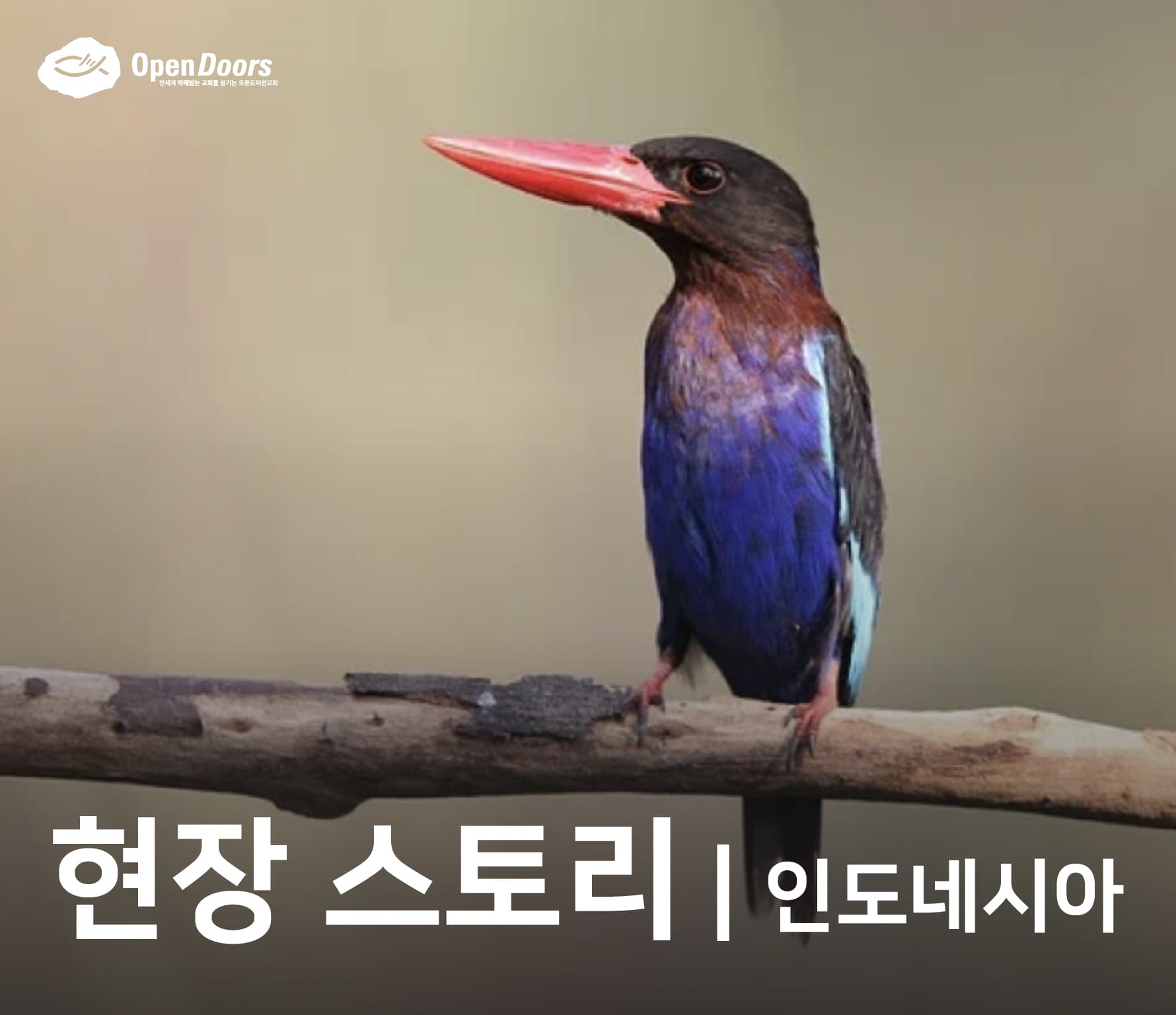 저는 제 신앙에 대해 나누는 것을 좋아합니다. 두렵지 않아요 #인도네시아