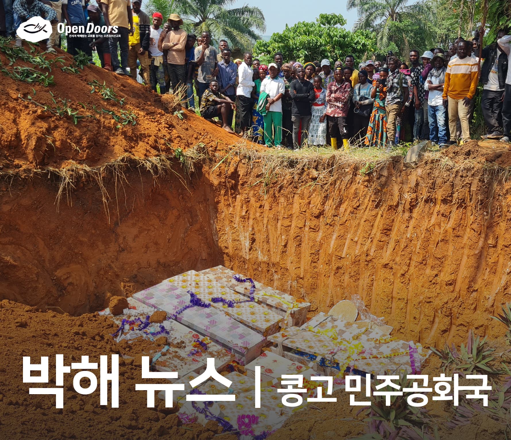 이틀간 100명 이상의 기독교인이 학살당했습니다 #콩고민주공화국(DRC)
