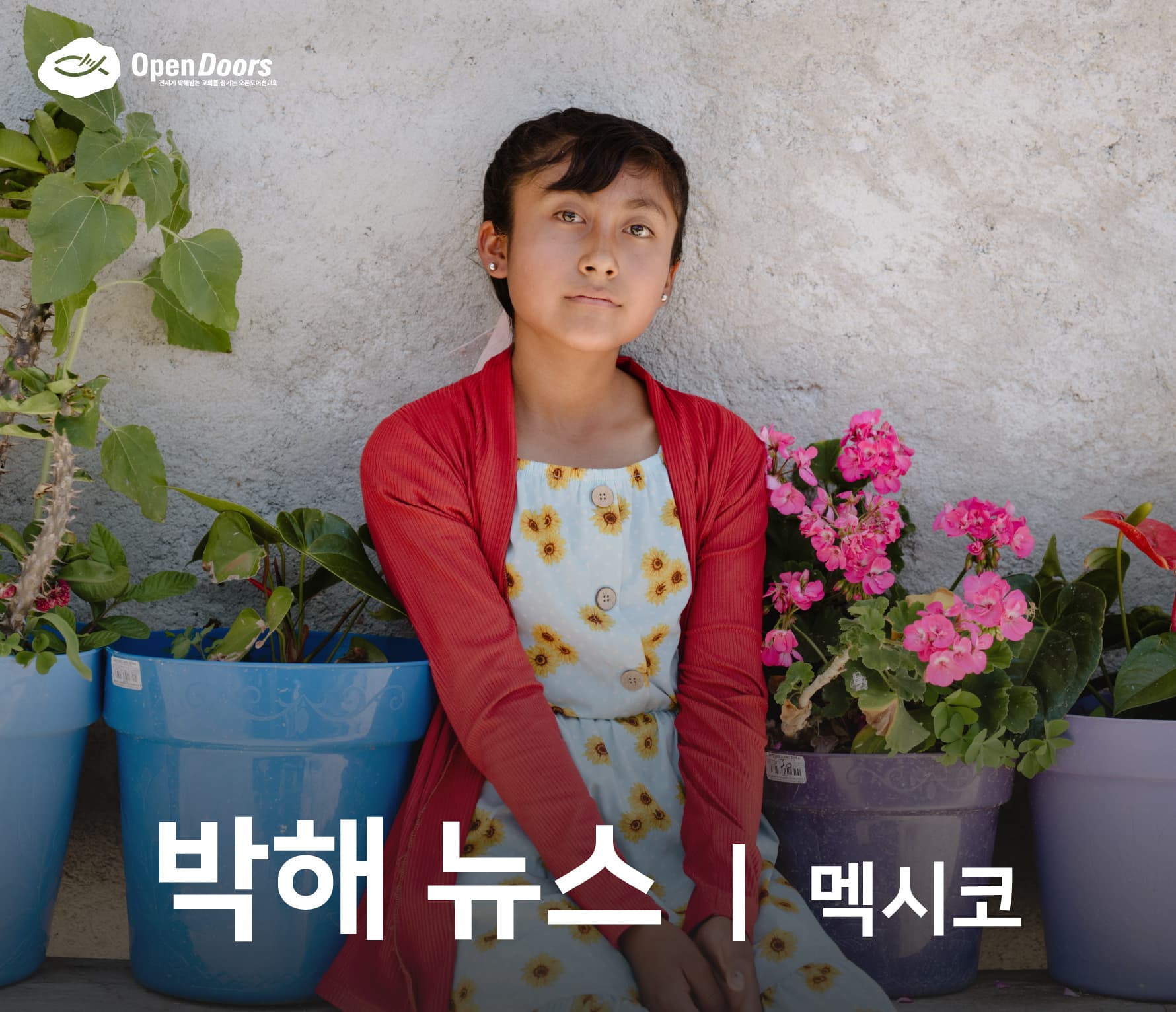 멕시코 12세 소녀의 용기 있는 믿음을 보세요